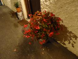 Click to see big picture (1024x768 pixels; 104 KB)