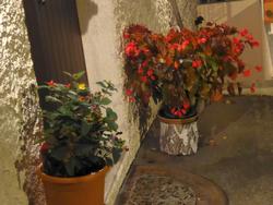 Click to see big picture (1024x768 pixels; 101 KB)