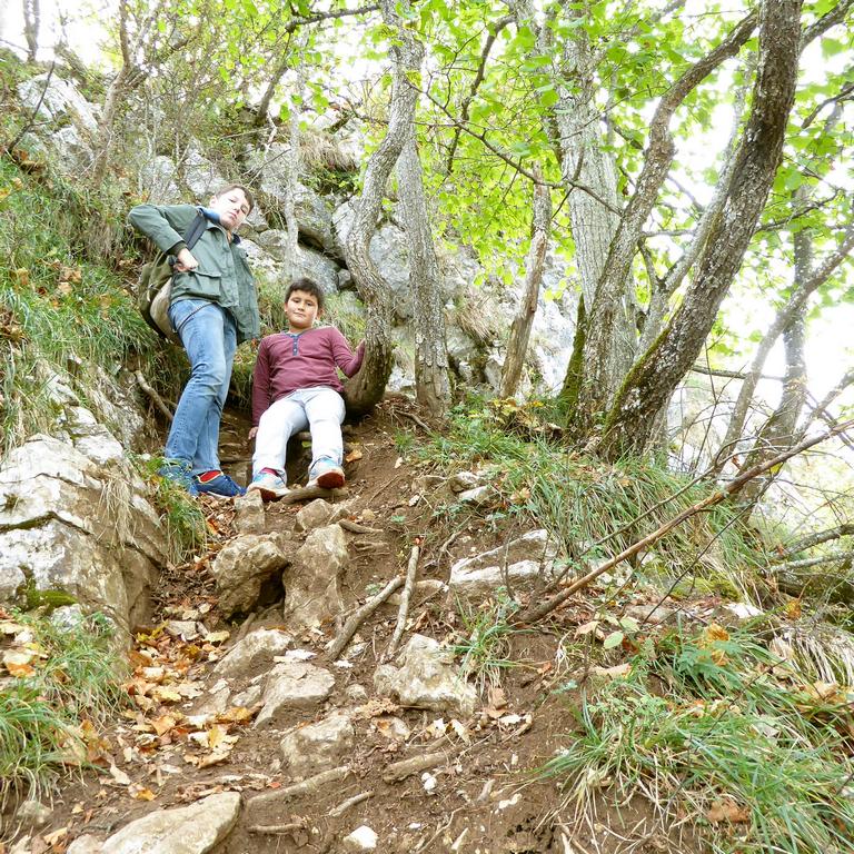 {Clic pour voir plus grand}