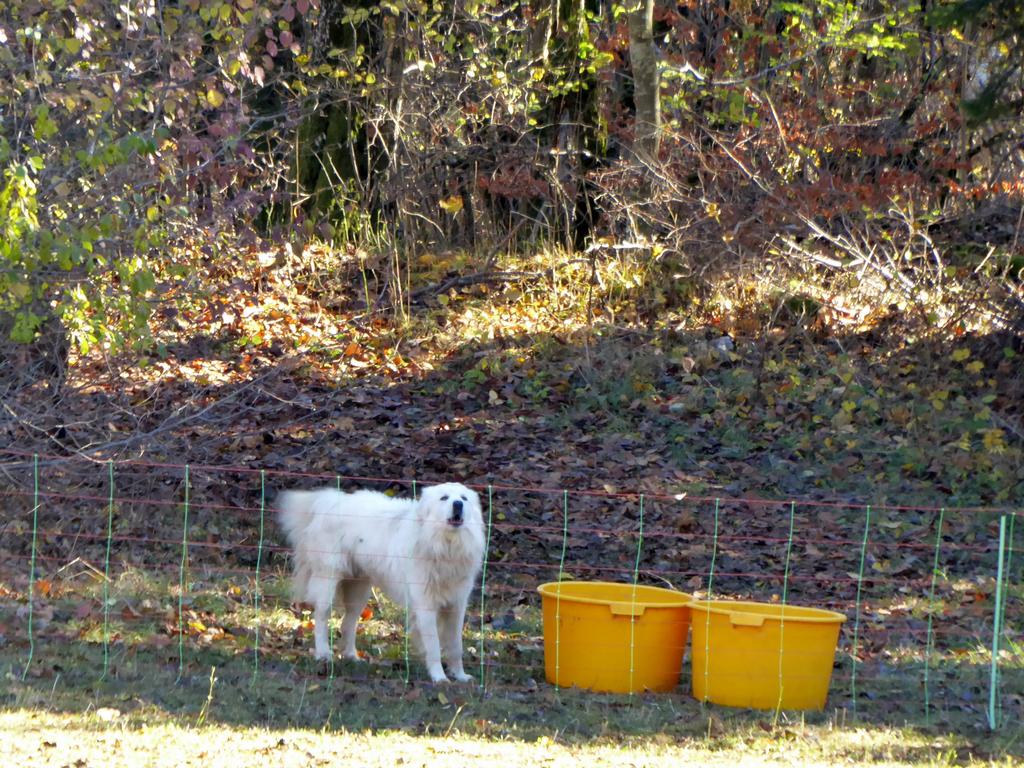 {Clic pour voir plus grand}