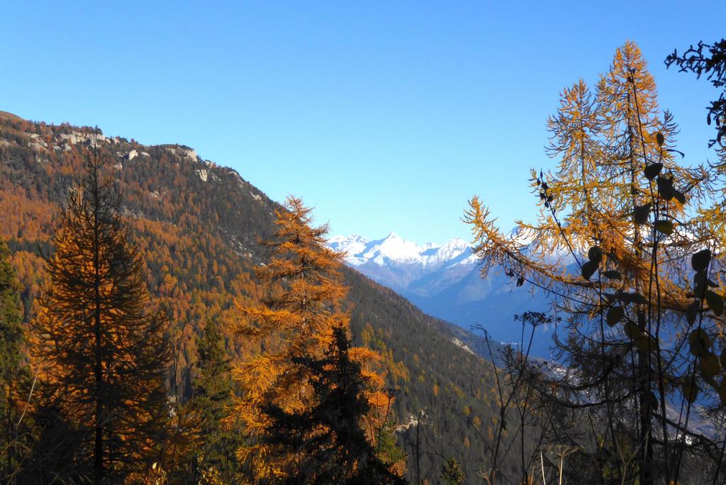 {Clic pour voir plus grand}