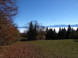 Click to see big picture (1024x768 pixels; 155 KB)