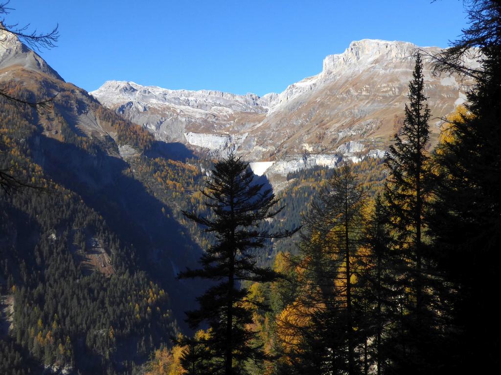 {Clic pour voir plus grand}