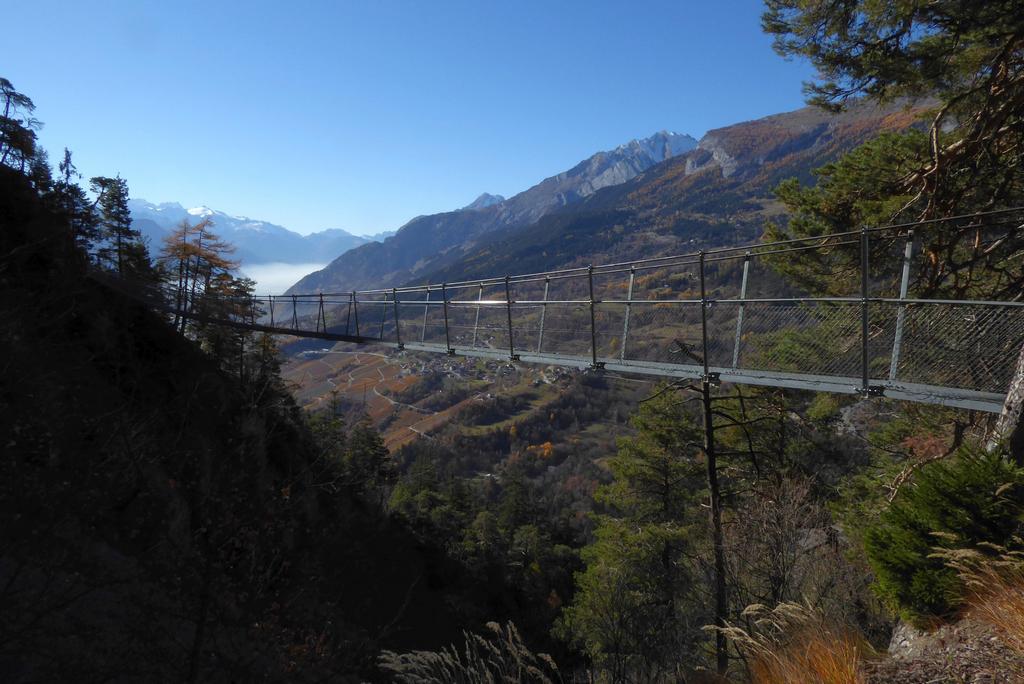 {Clic pour voir plus grand}