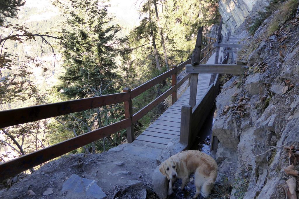 {Clic pour voir plus grand}