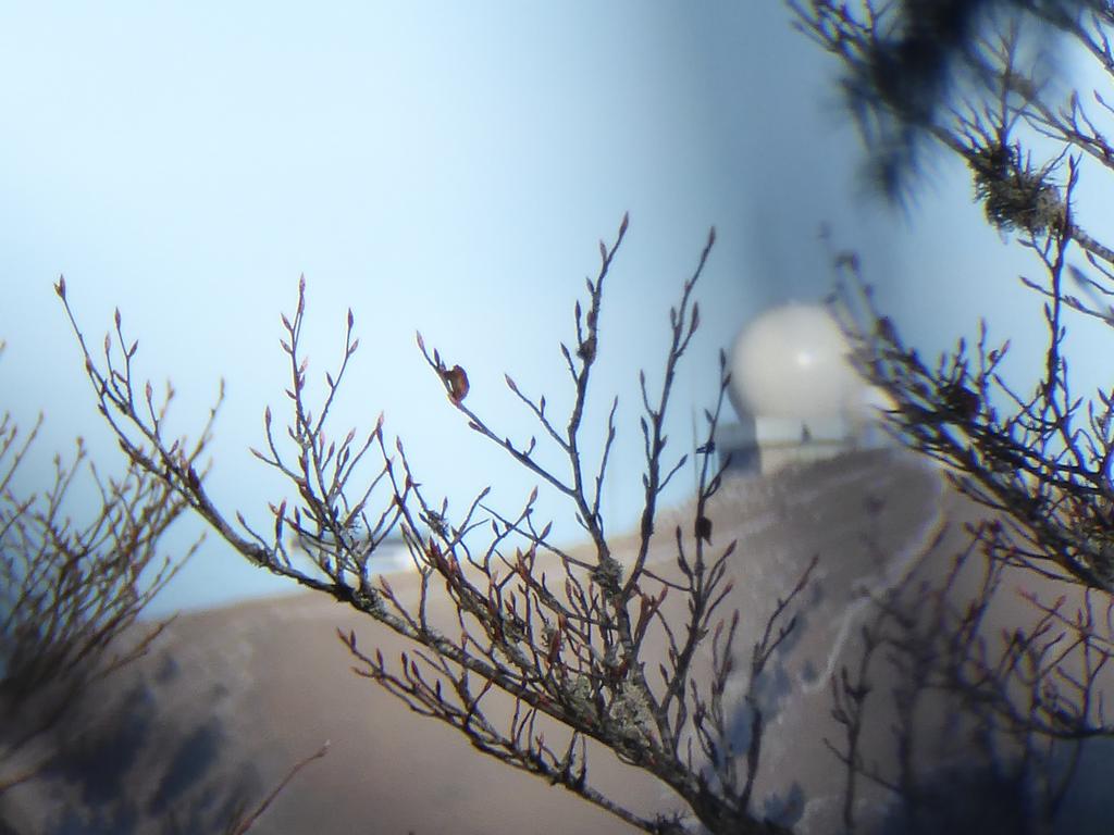 {Clic pour voir plus grand}