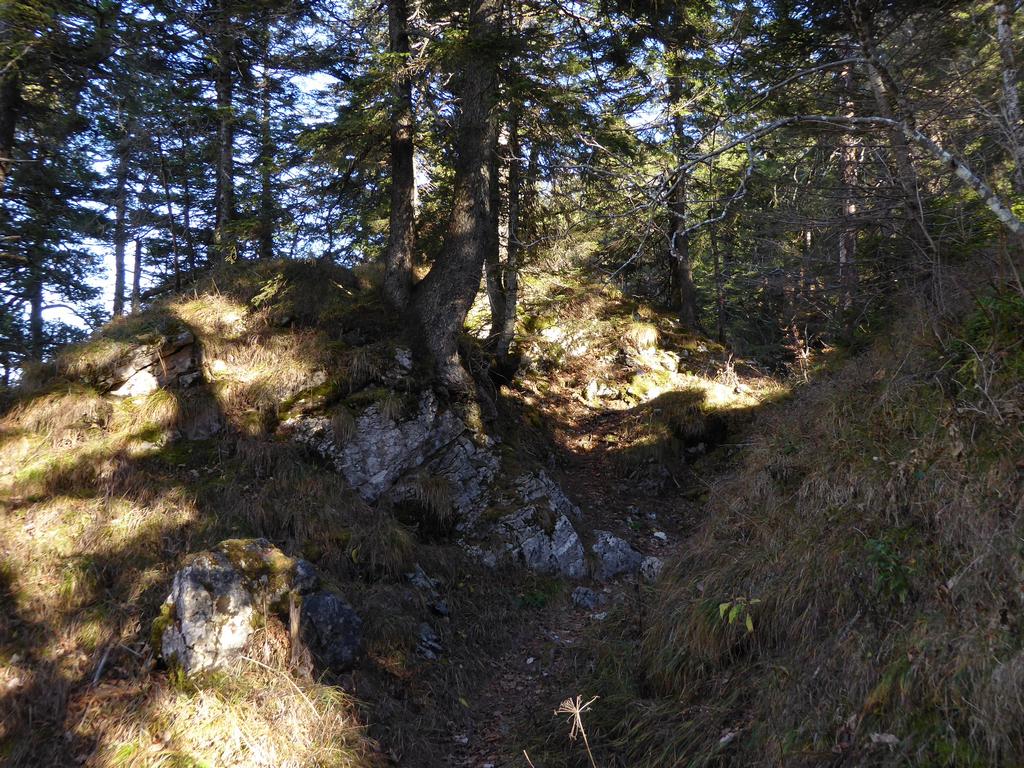 {Clic pour voir plus grand}