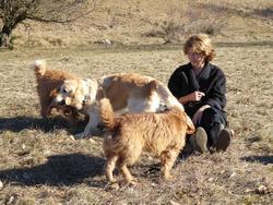 Click to see big picture (1024x768 pixels; 232 KB)