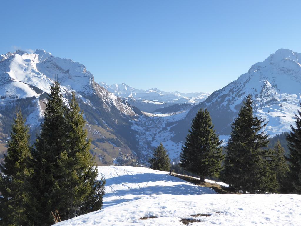 {Clic pour voir plus grand}