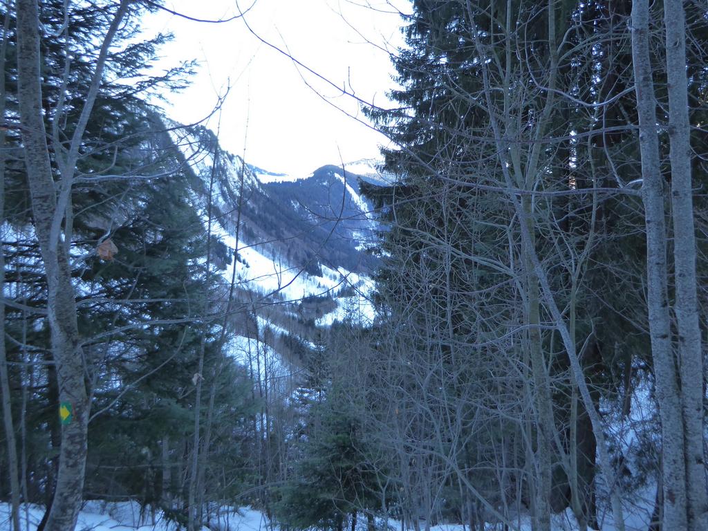 {Clic pour voir plus grand}