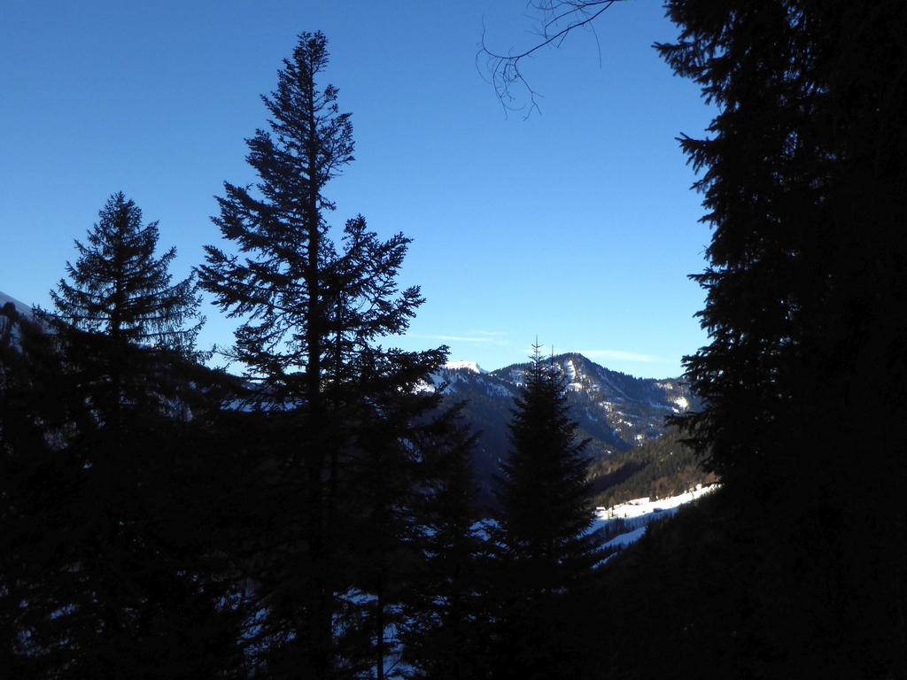 {Clic pour voir plus grand}