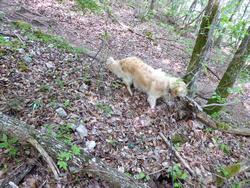 Click to see big picture (1024x768 pixels; 282 KB)