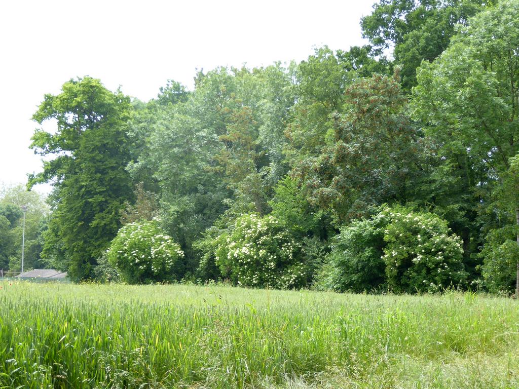 {Clic pour voir plus grand}