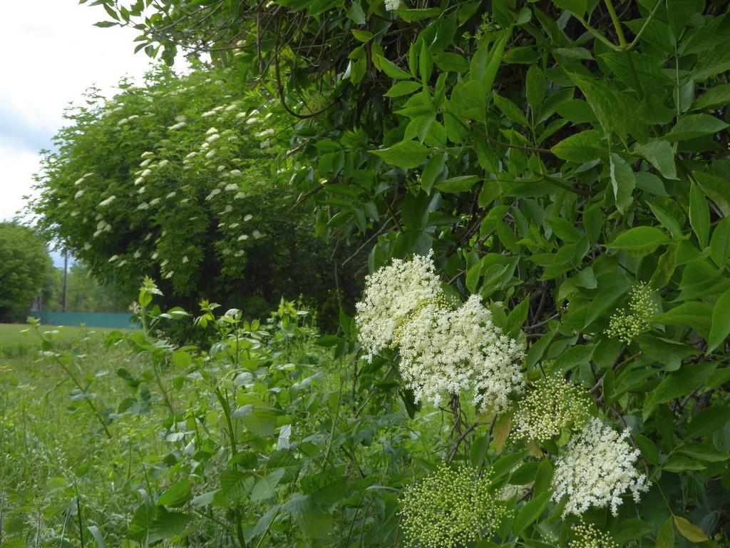 {Clic pour voir plus grand}