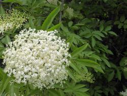 Click to see big picture (1024x768 pixels; 134 KB)