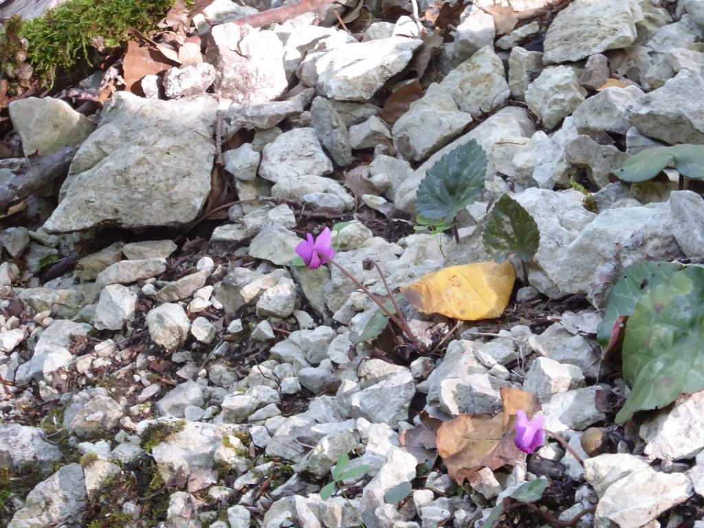 {Clic pour voir plus grand}