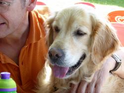 Click to see big picture (1024x768 pixels; 97 KB)