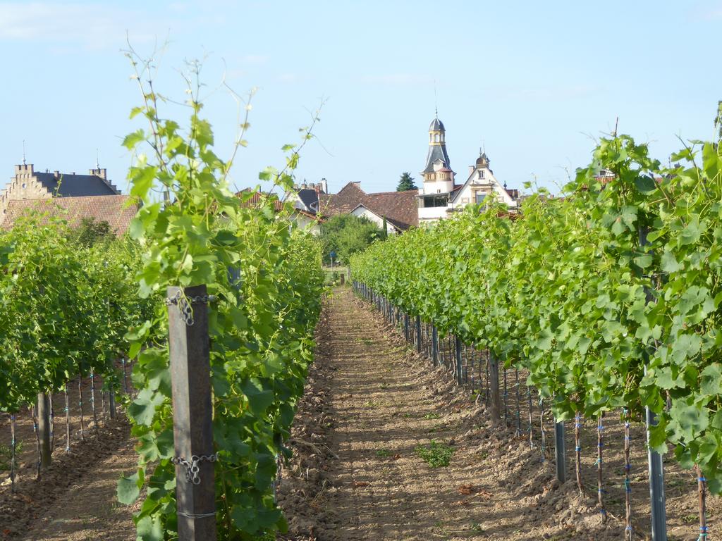 {Clic pour voir plus grand}