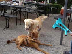 Click to see big picture (1024x768 pixels; 183 KB)