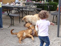 Click to see big picture (1024x768 pixels; 181 KB)