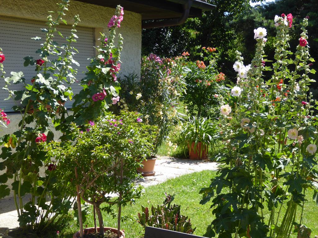 {Clic pour voir plus grand}