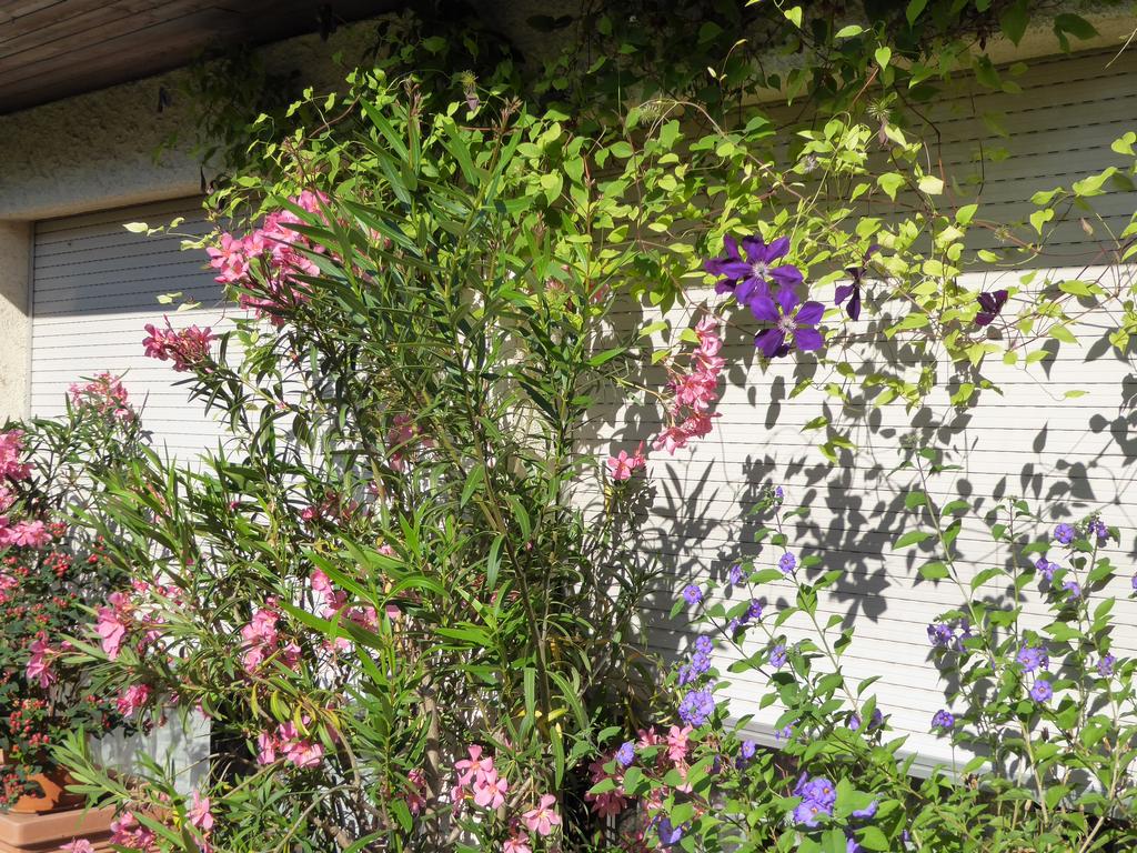 {Clic pour voir plus grand}