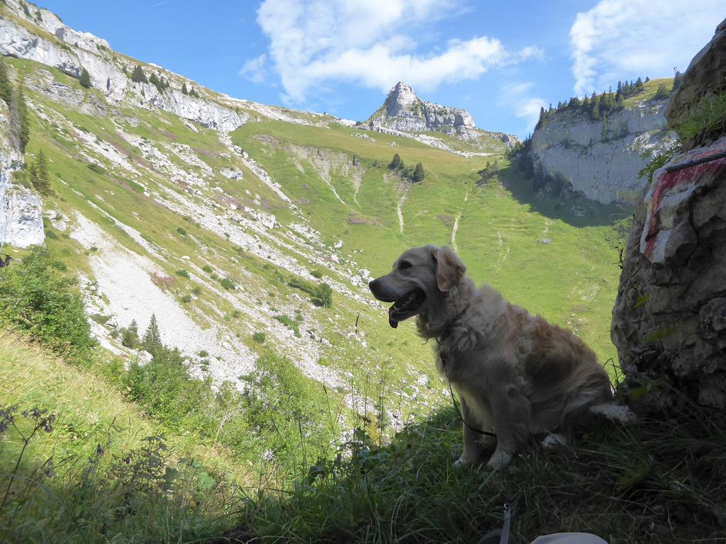 {Clic pour voir plus grand}