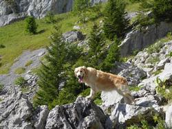 Click to see big picture (1024x768 pixels; 229 KB)