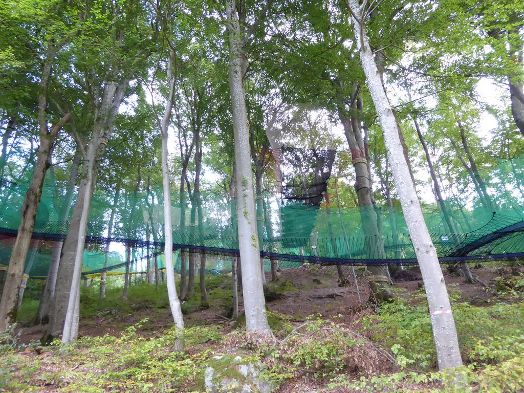 {Clic pour voir plus grand}