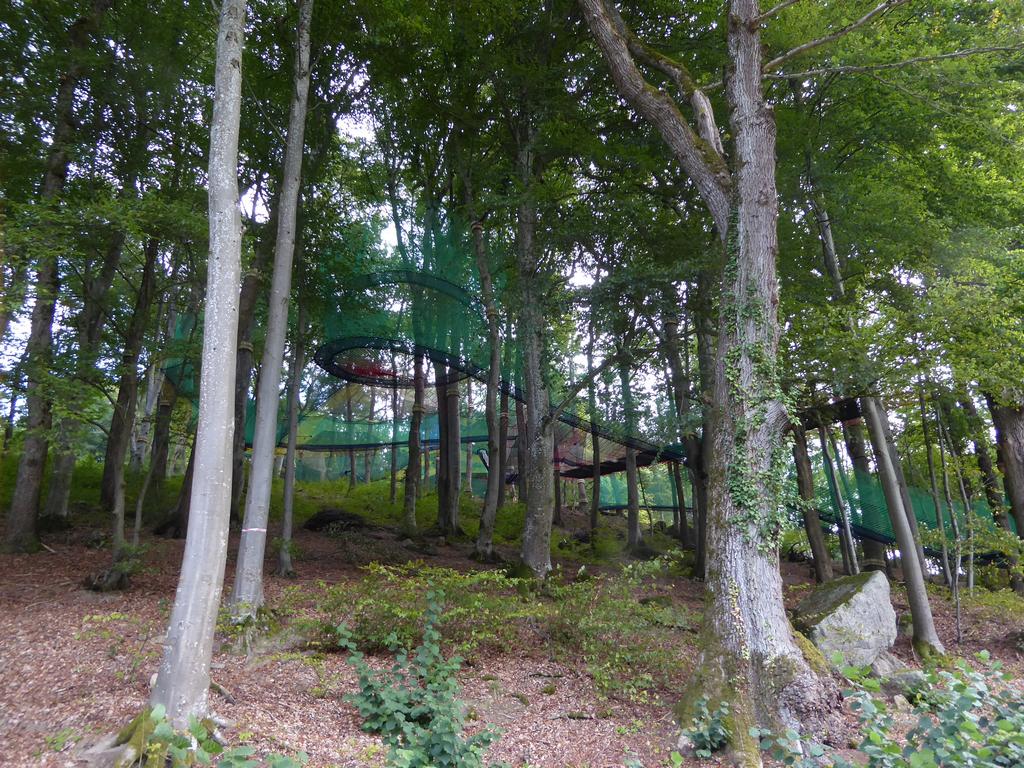 {Clic pour voir plus grand}