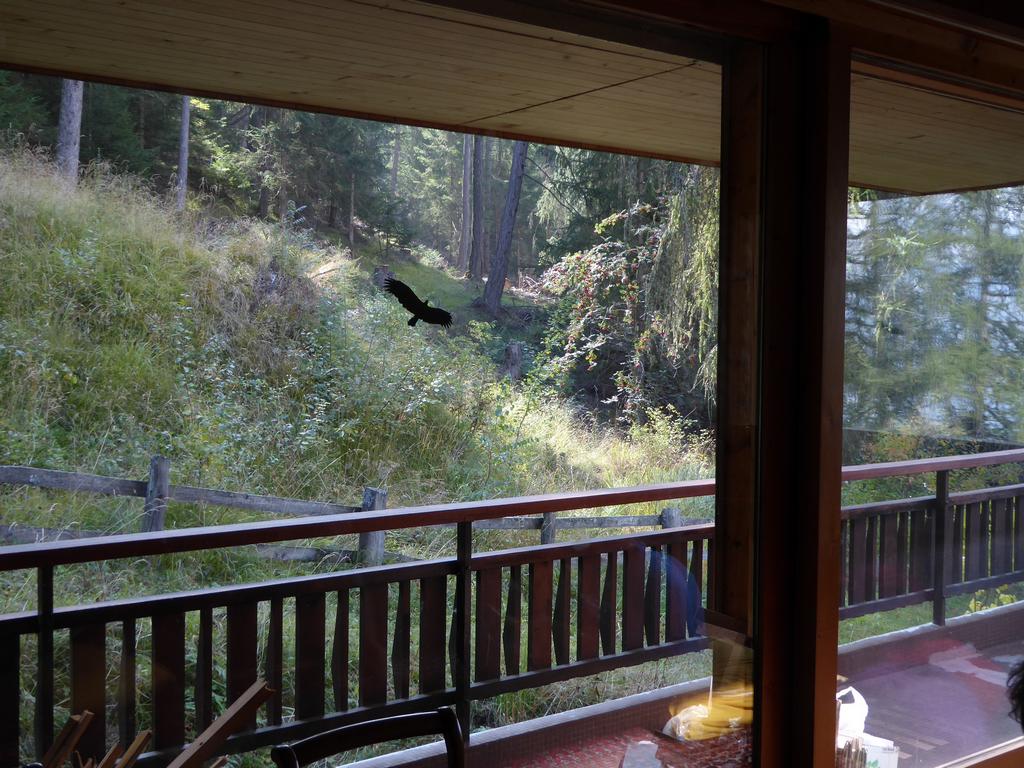 {Clic pour voir plus grand}