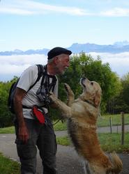 Click to see big picture (568x768 pixels; 60 KB)