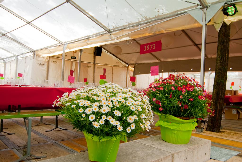 Pour l'image suivante