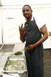 Pour agrandir l'image (512x768 pixels; 72 KB)