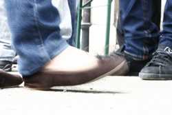 Pour agrandir l'image (1024x683 pixels; 73 KB)