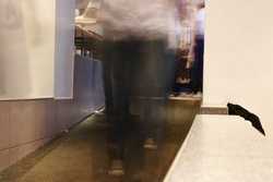 Pour agrandir l'image (1024x683 pixels; 76 KB)