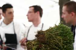 Pour agrandir l'image (1024x683 pixels; 75 KB)