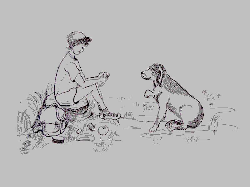 Cliquer pour voir l'image suivante