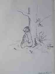 Cliquer pour agrandir l'image (450x600 pixels; 20 KB)