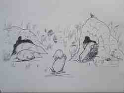 Cliquer pour agrandir l'image (800x600 pixels; 35 KB)