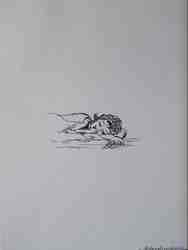 Cliquer pour agrandir l'image (450x600 pixels; 18 KB)