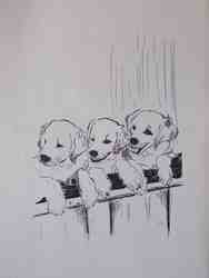 Cliquer pour agrandir l'image (450x600 pixels; 23 KB)