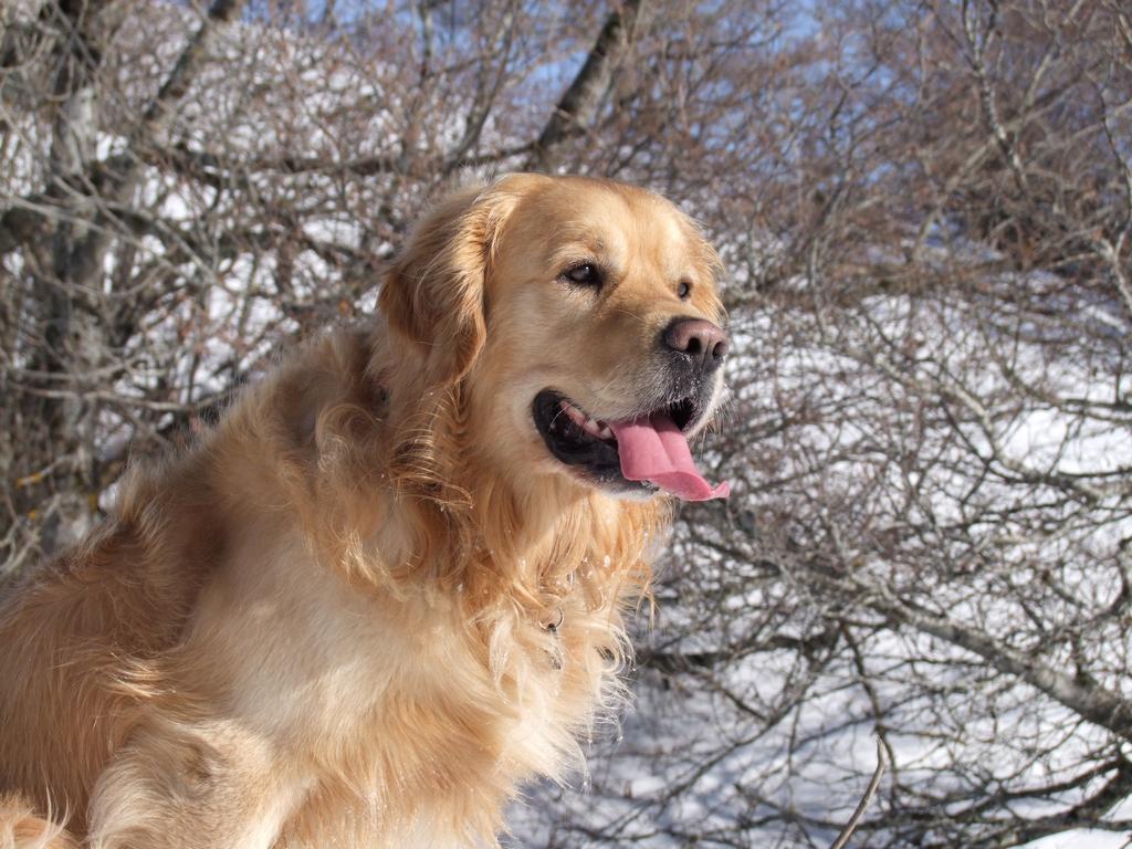 clic ici pour suivante