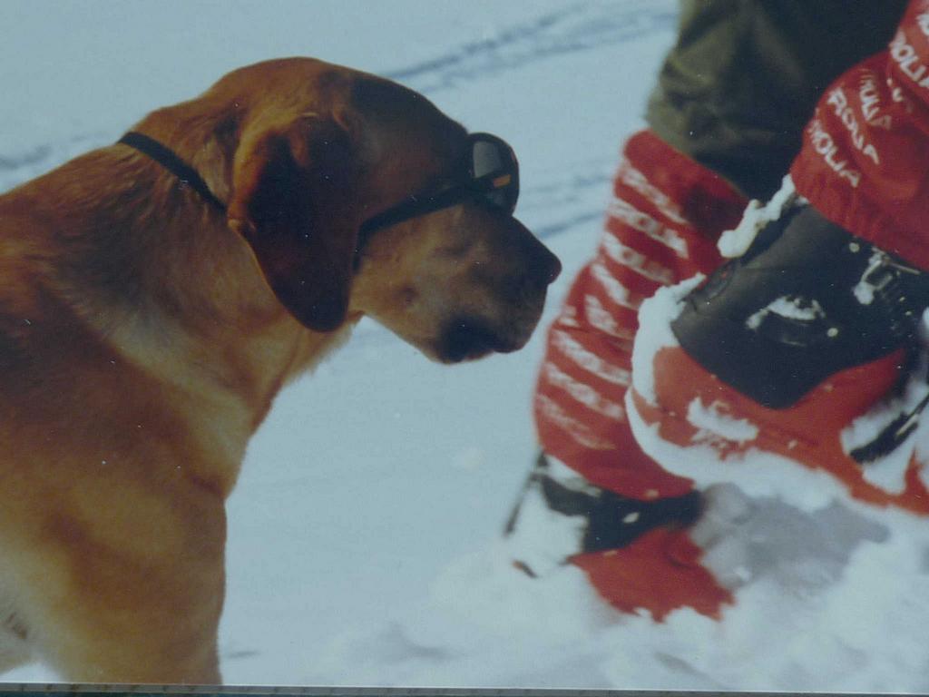 clic ici pour suivante