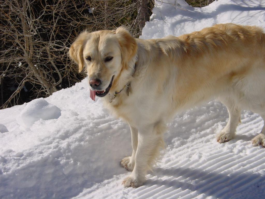 clic ici pour suivante