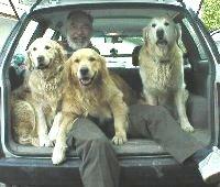 1 - D�part en promenade