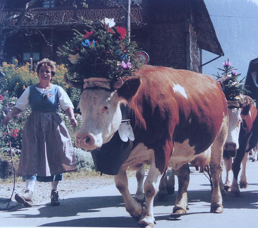 Clic pour l'image suivante