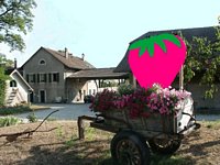 Click to see big picture (667x500 pixels; 121 KB)