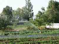 Click to see big picture (667x500 pixels; 146 KB)