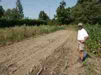 Click to see big picture (667x500 pixels; 137 KB)